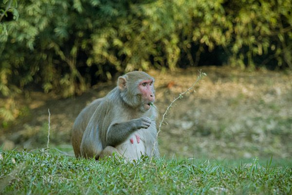 Solutions professionnelles pour les rides du visage à marseille