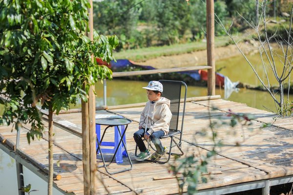 Le zinc : un des meilleurs compléments alimentaires