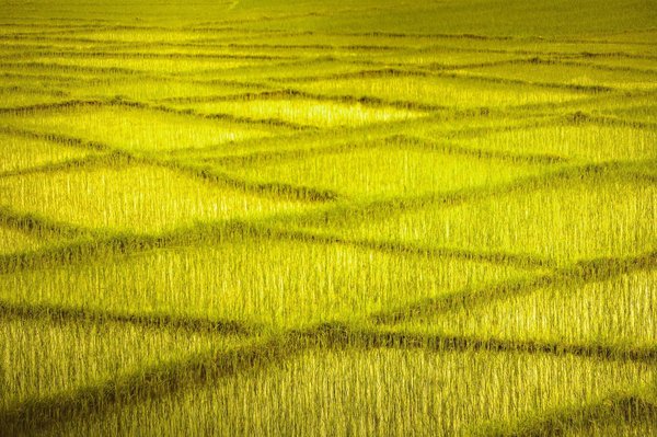 10 astuces incontournables pour améliorer votre rédaction de contenus